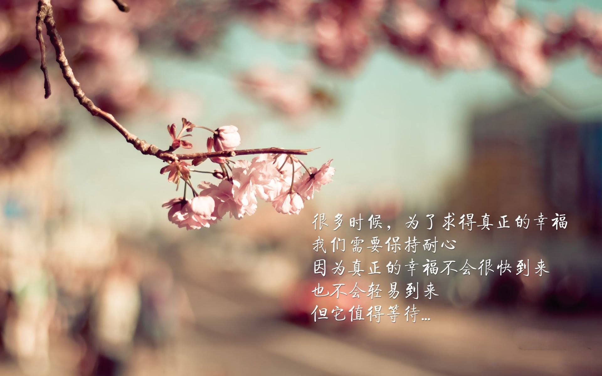 城市绿道骑行嘉年华，享受慢节奏的都市运动氛围，绿道骑行驿站