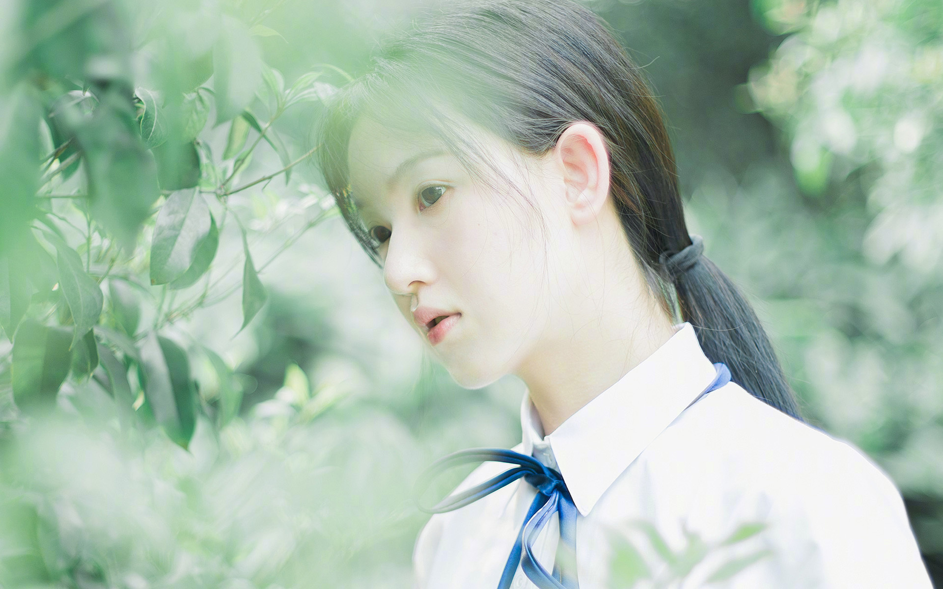 德国女子体操选手在平衡木项目中获得铜牌,德国女子体操运动员