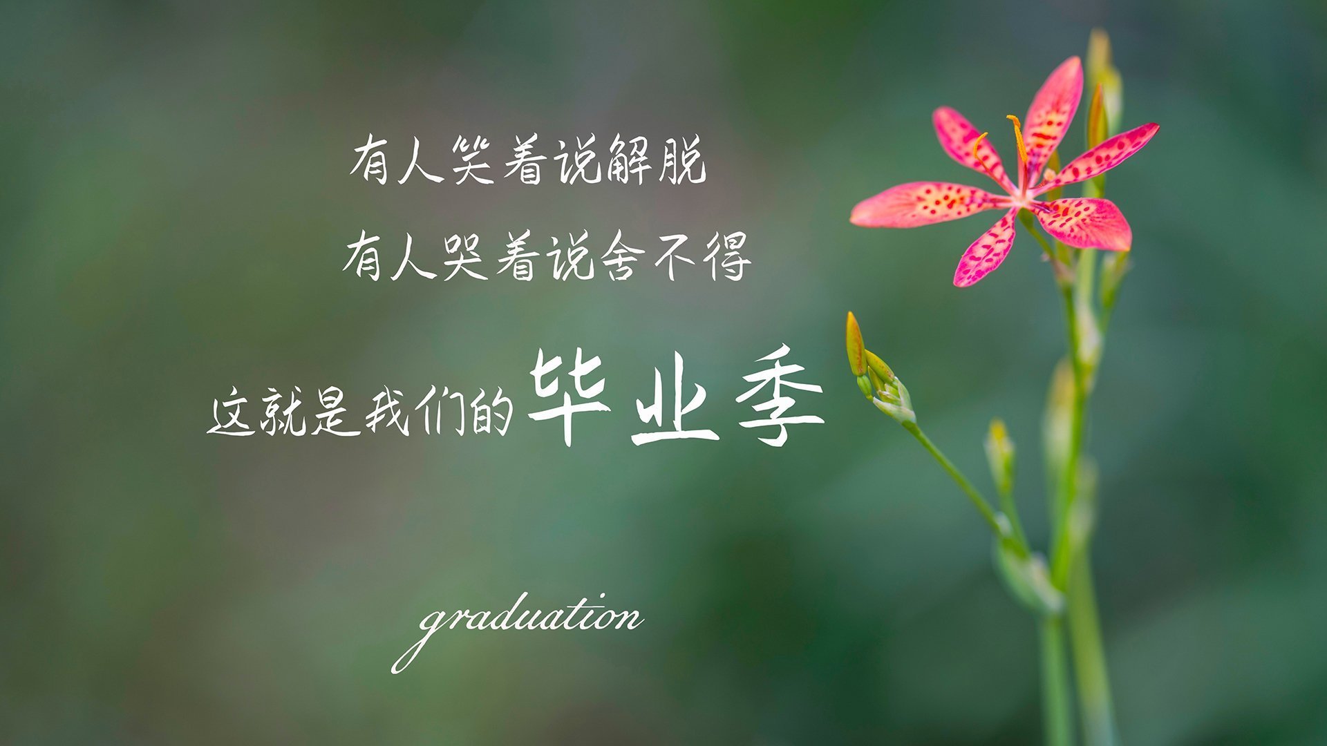 利物浦将迎战水晶宫，双方实力对比争夺胜利，利物浦7-0水晶宫集锦