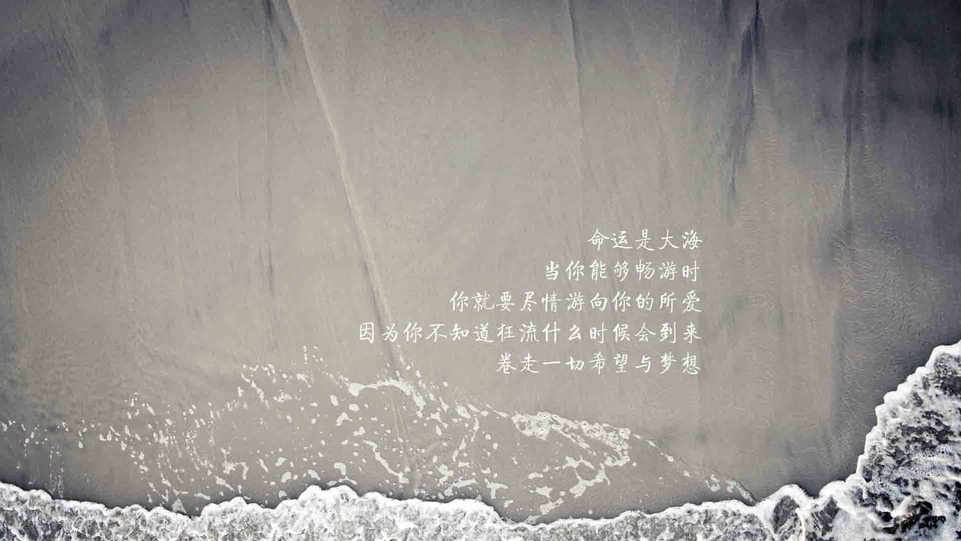 瓜达拉哈拉球员转会动态，市场引援活跃，瓜达拉哈拉对利昂
