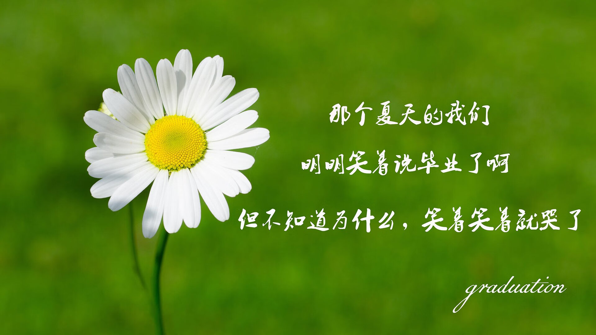国家高尔夫队邀请赛参赛名单新闻发布，高尔夫 国家队