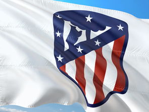 米兰体育-贝尔哈德·福特：为全黑队提供了更多战术选择的球场智者，贝尔福特vs霍利菲尔德